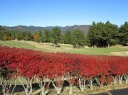 足利ＣＣ飛駒コースの秋の紅葉