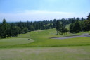 栃木ヶ丘ゴルフ倶楽部の画像イン16番ホール/打ち下ろしでセカンド地点からグリーンまでやや打ち上げのロング。
